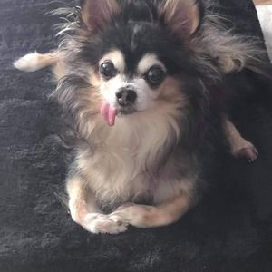 Meet your Posher, Janette